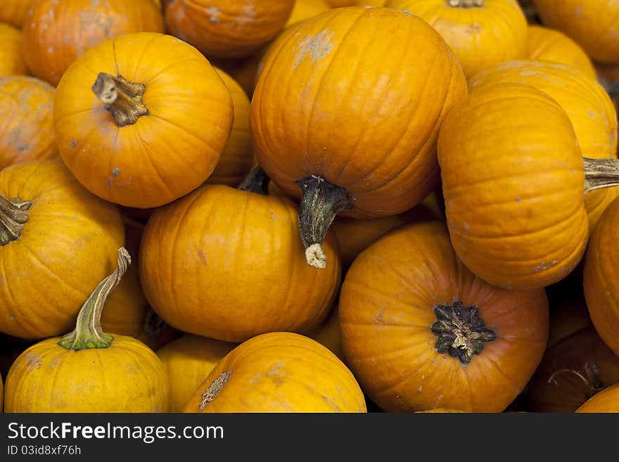 Autumn with a large pile of pumpkins