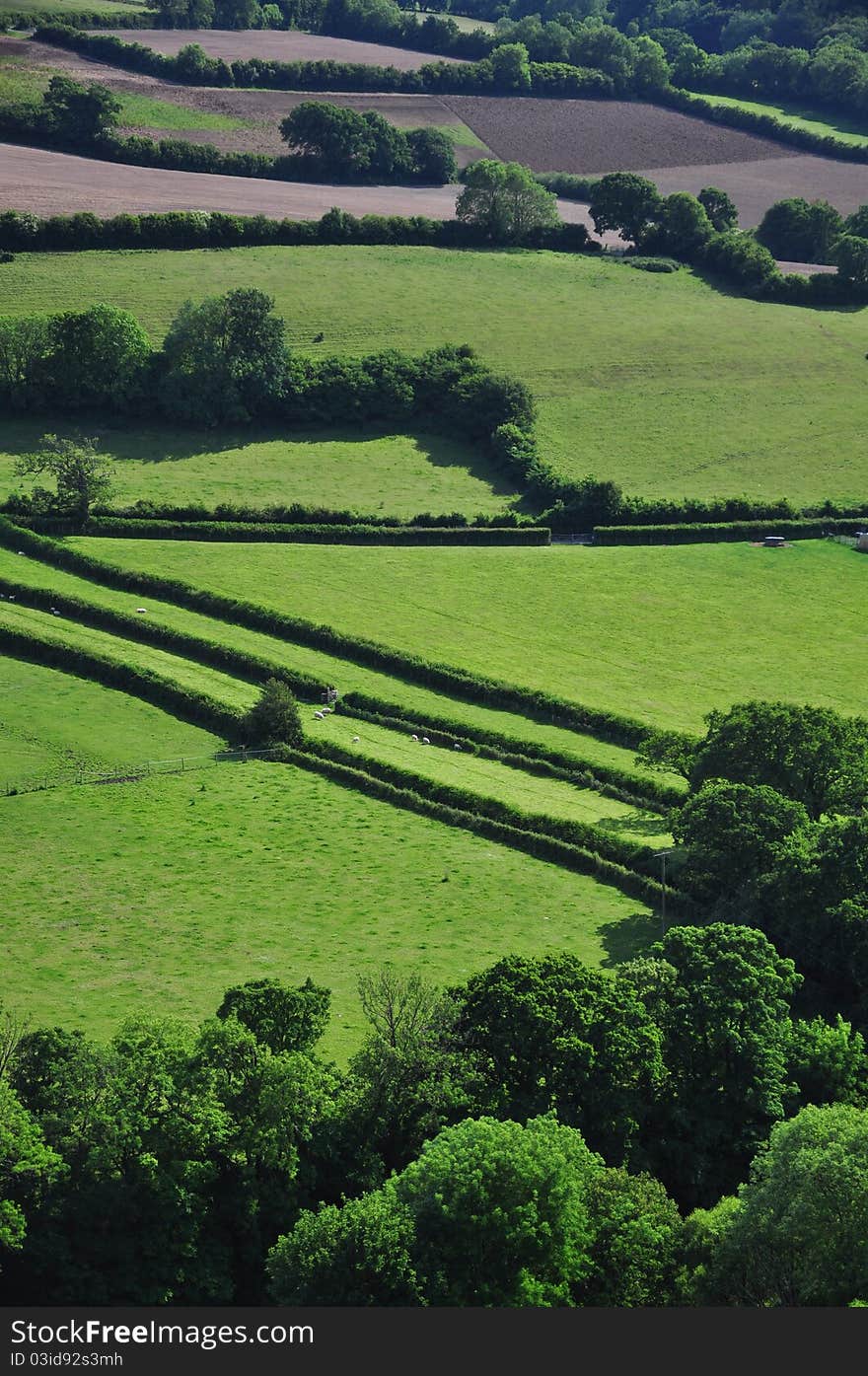 Open farmland viewed from the river torridge escarpment, in North Devon, England the two strip field are the remains of an ancient leper colony. Open farmland viewed from the river torridge escarpment, in North Devon, England the two strip field are the remains of an ancient leper colony