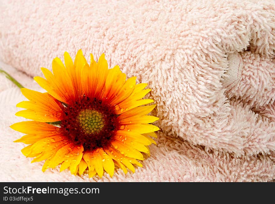 Towel And Flower