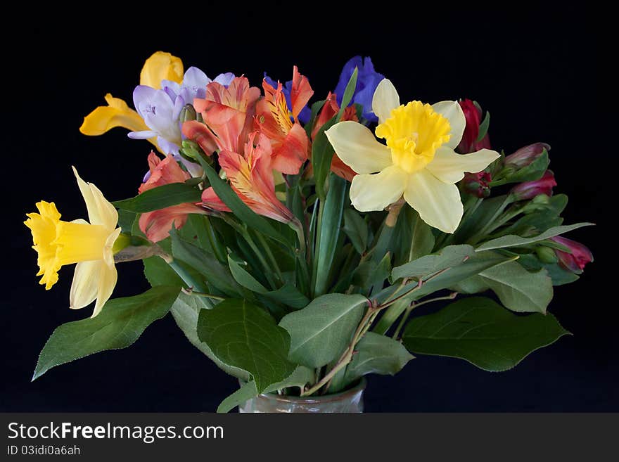 Bunch of spring flowers in black background