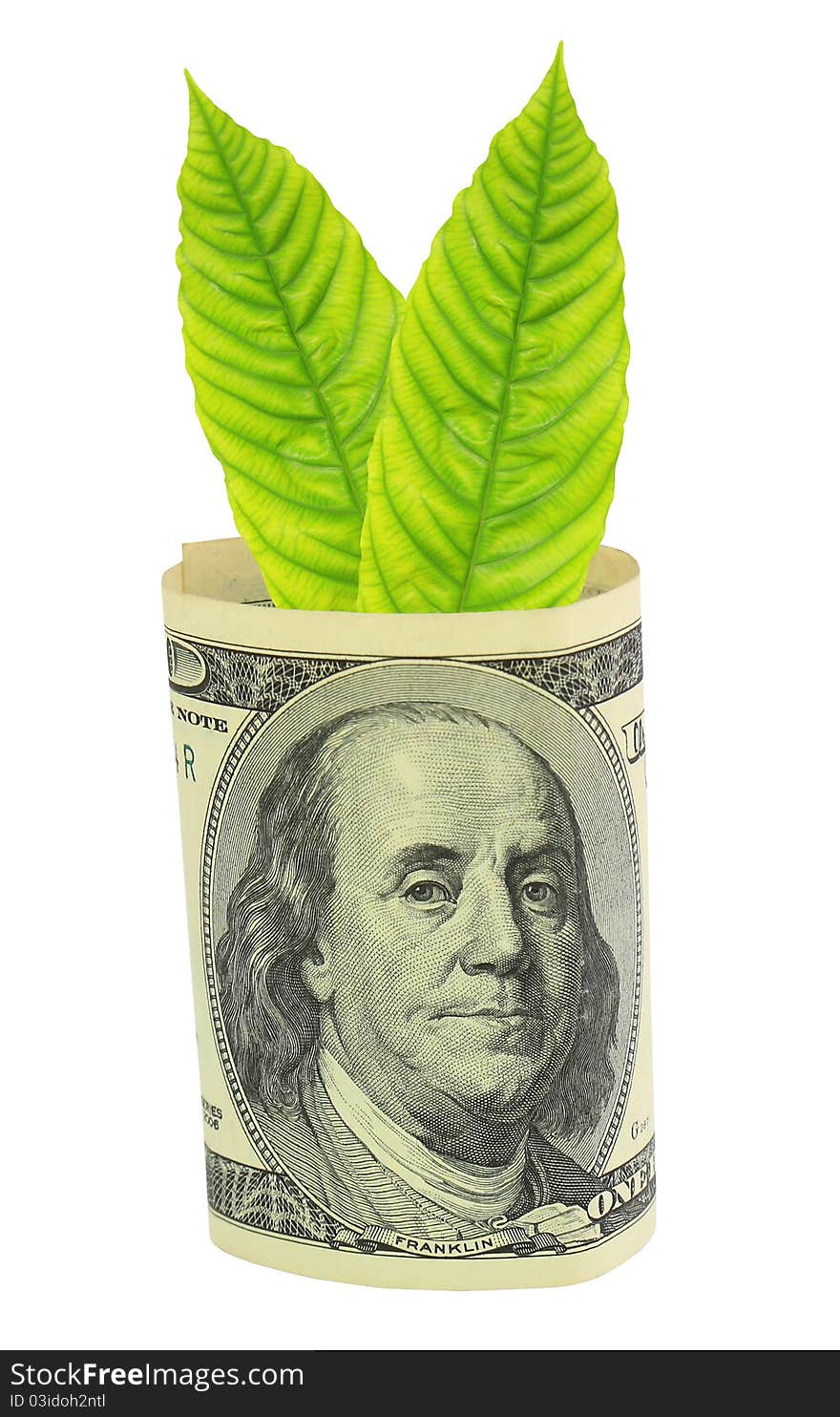 Tree shoot growing from dollar banknote. Tree shoot growing from dollar banknote