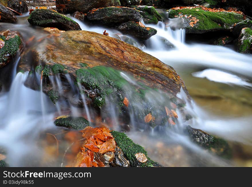 Autumn creek in bohemian forest