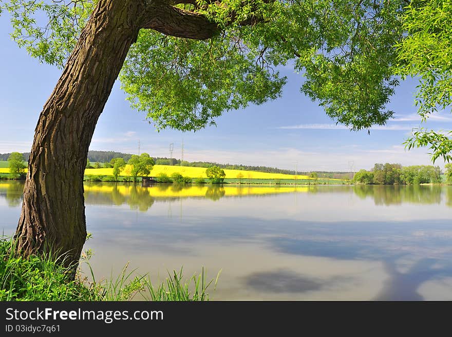 Spring landscape in the Czech Republic