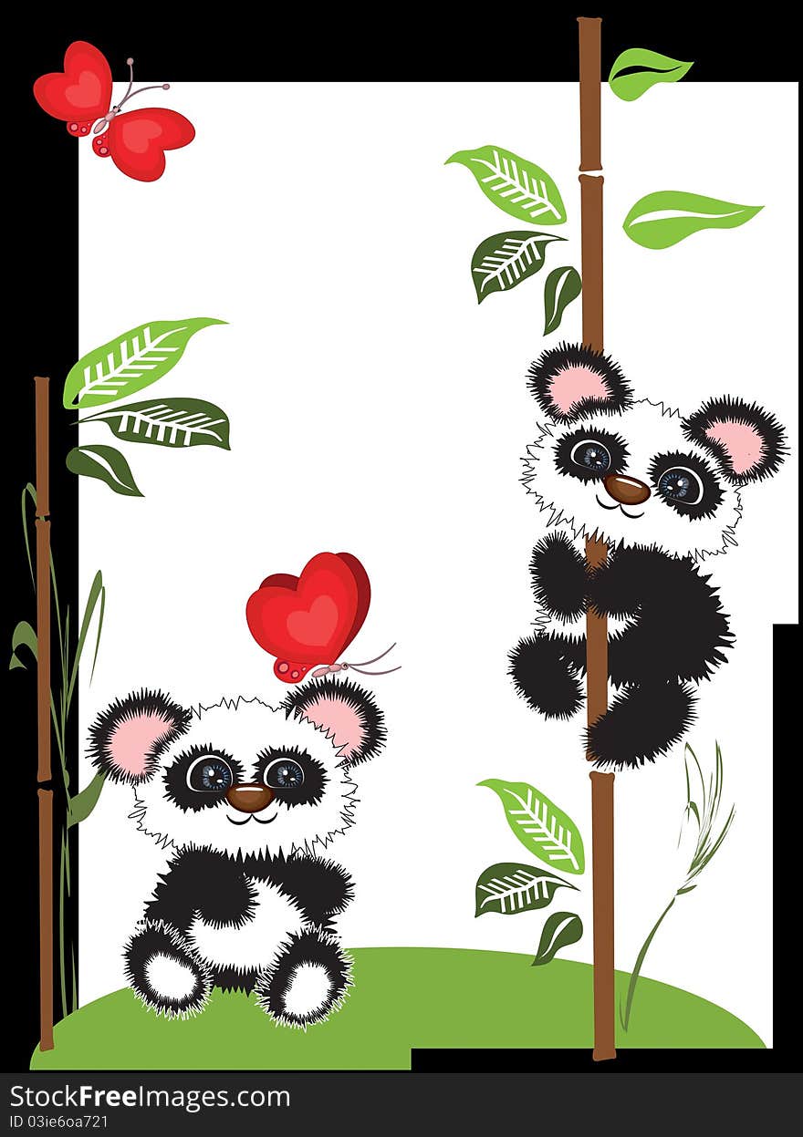 Panda bears and butterflies in the bamboo. Panda bears and butterflies in the bamboo