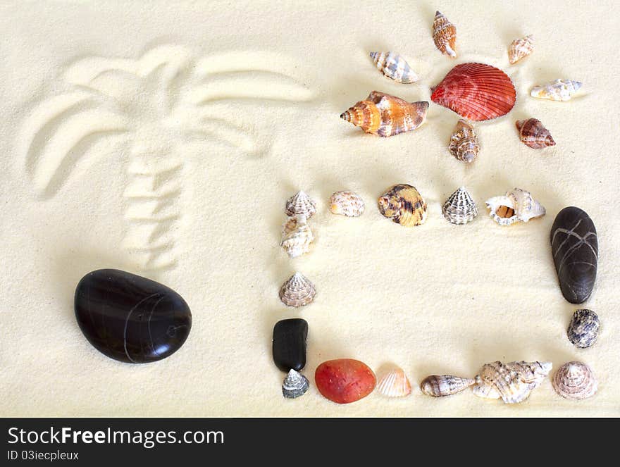 Frame of shells in sand