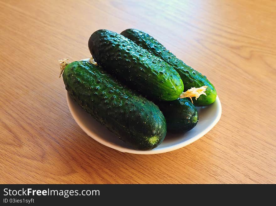 Fresh Cucumbers