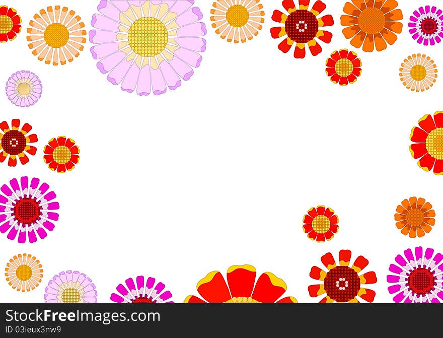 Vector daisy of different colors on a white background. Vector daisy of different colors on a white background