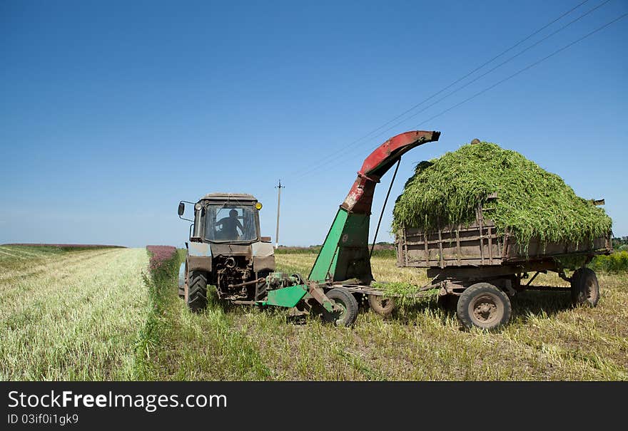 Tractor in the field of transports hay