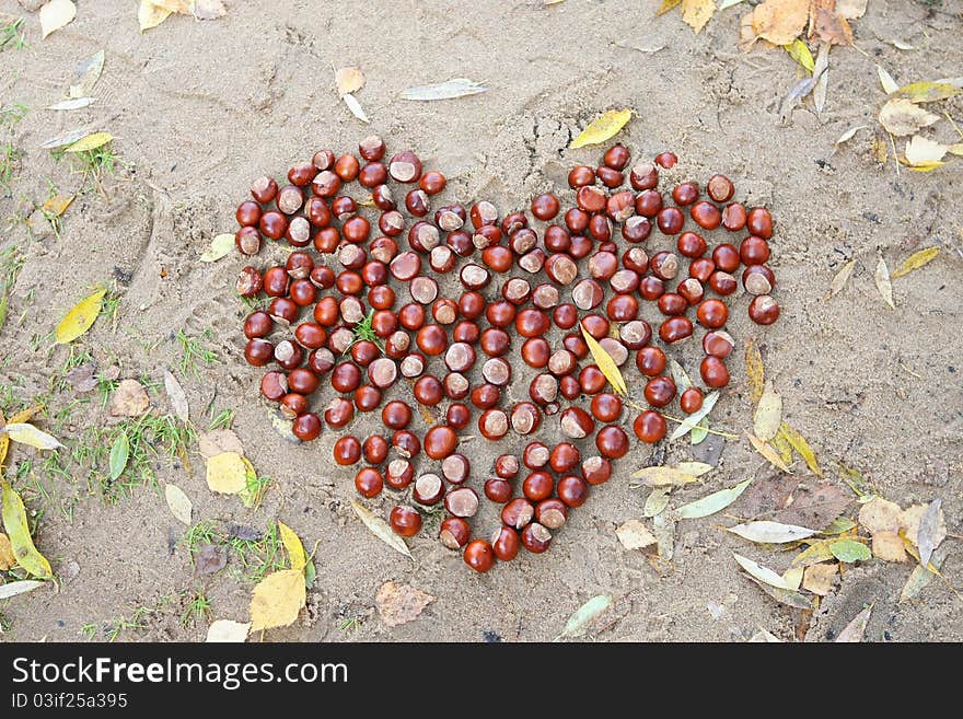 Chestnut heart on the sand