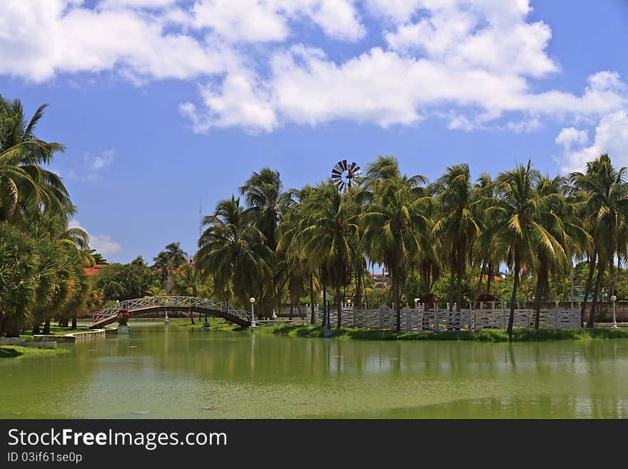 Islet with palms and foot-bridge in Hesone park. Islet with palms and foot-bridge in Hesone park