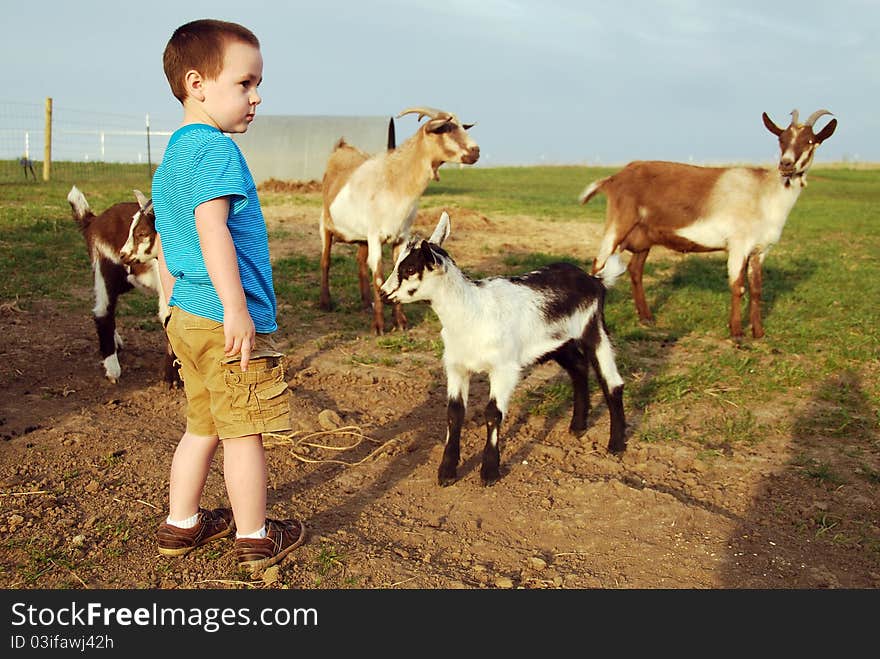 Small boy with his pet goats at the farm. Small boy with his pet goats at the farm