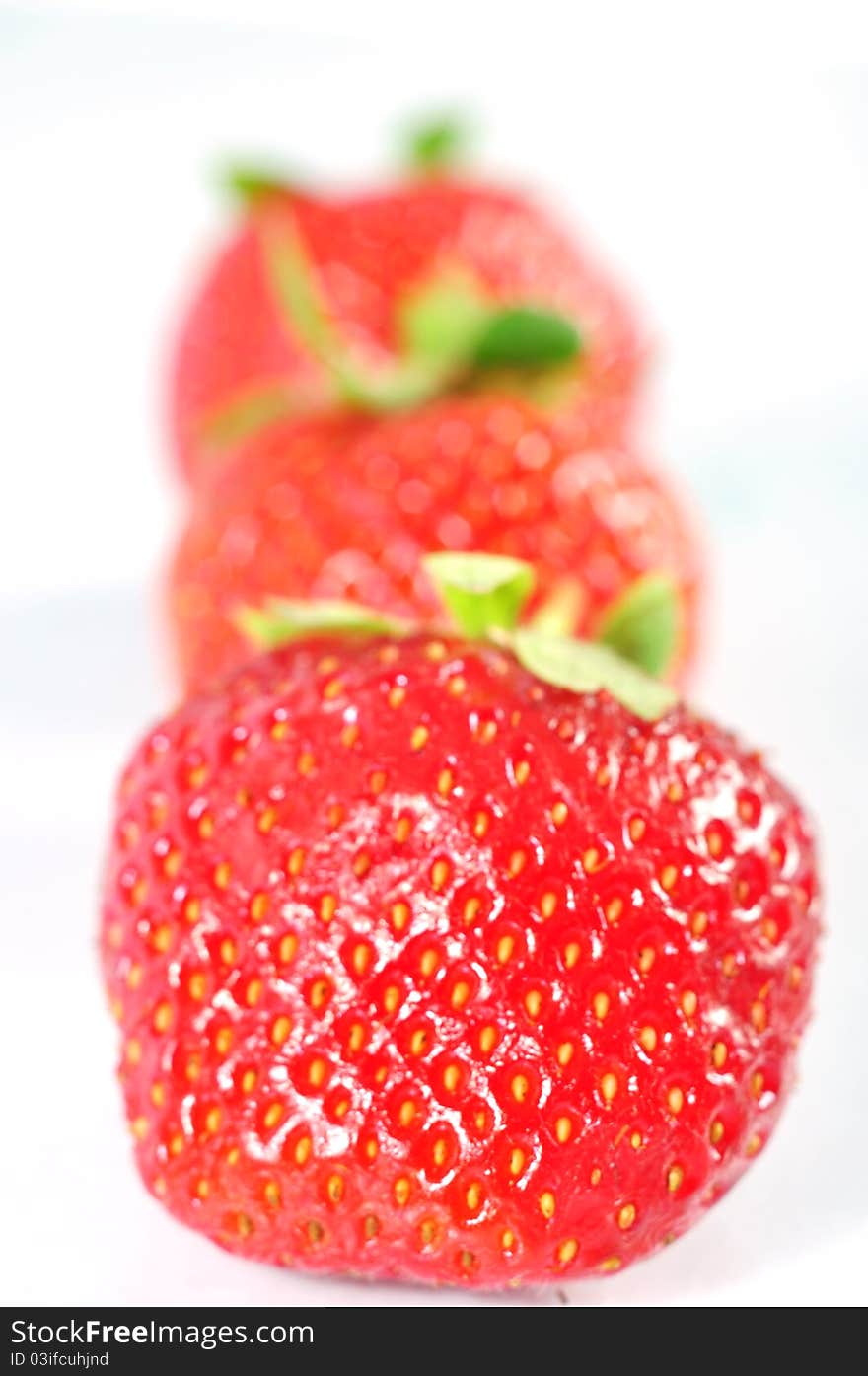 Strawberries photographed in cardano al campo