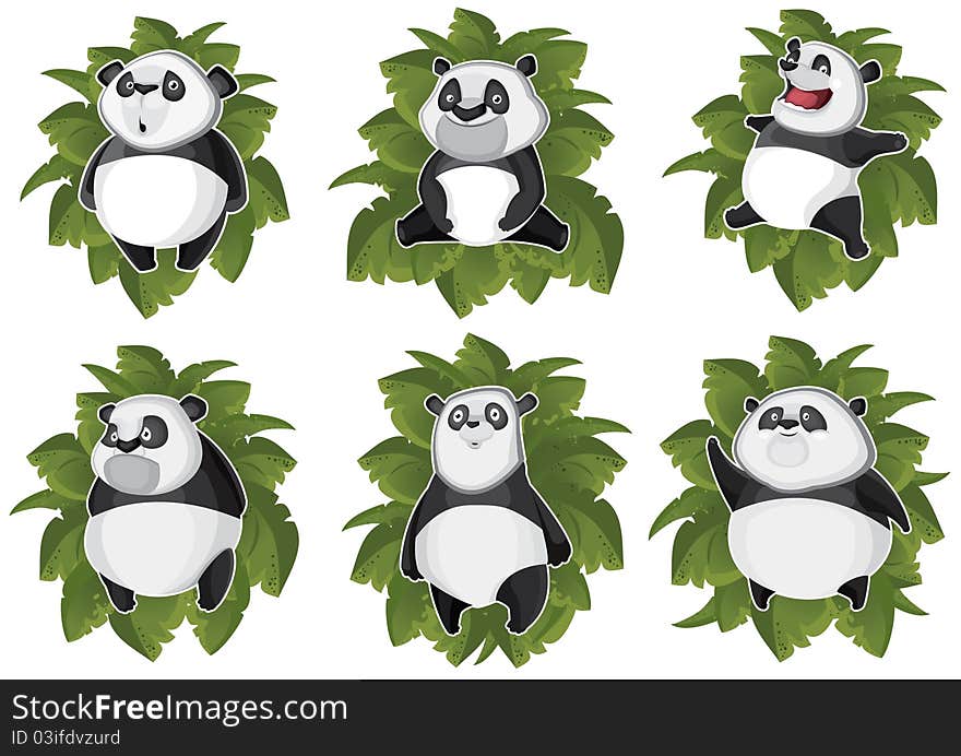 Pandas isolated in the leaves