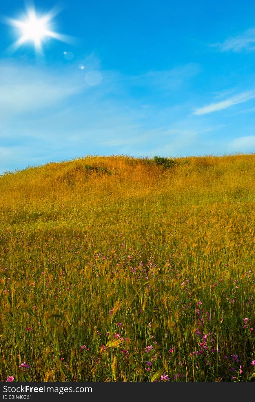 Landscape with yellow-green hill, the sky and sun. Landscape with yellow-green hill, the sky and sun