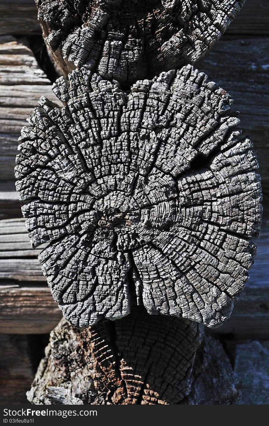 Close up of logs background of old wooden barn. Close up of logs background of old wooden barn