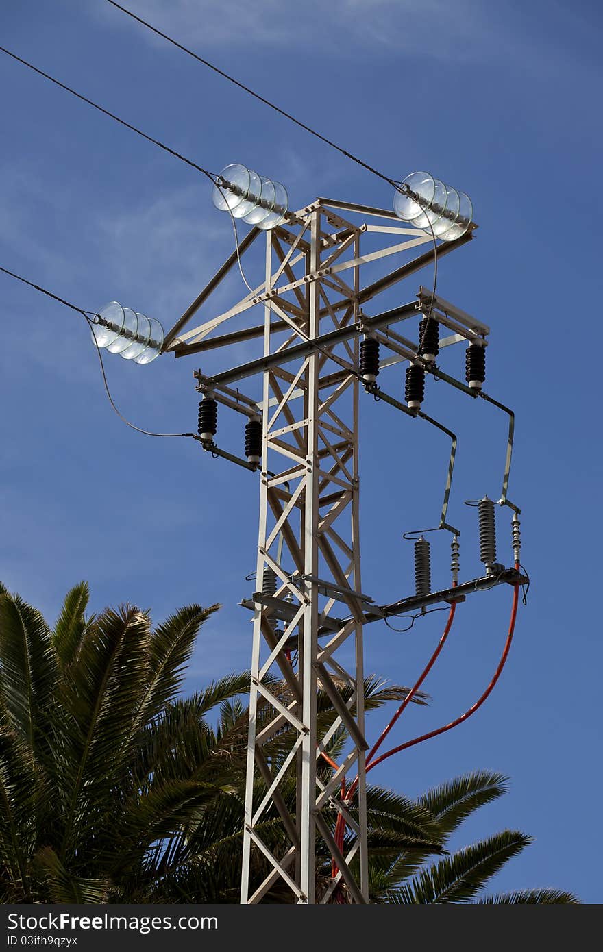 A small power pylon with blue sky and tropical foliage behind