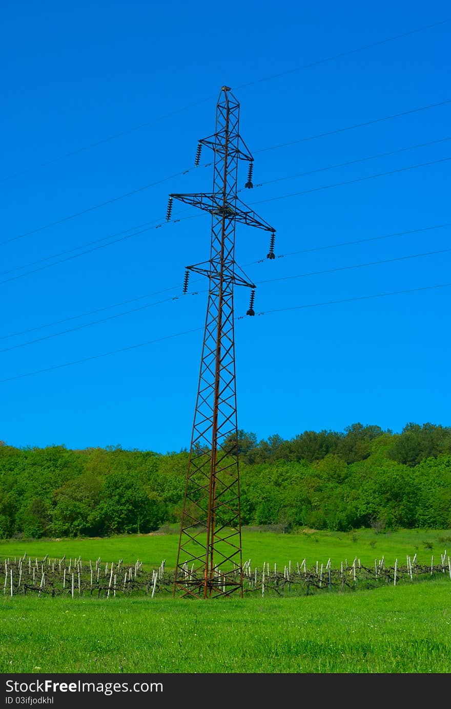 Power lines, standing in the vineyard against the sky