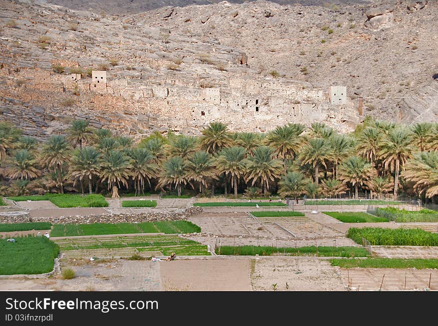 Old Omani village