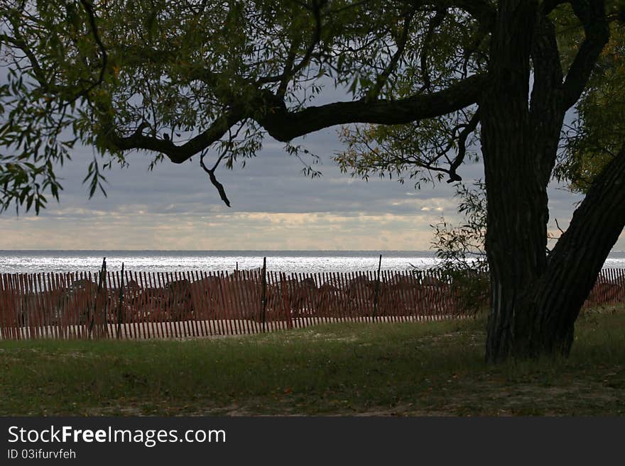 Snow fence