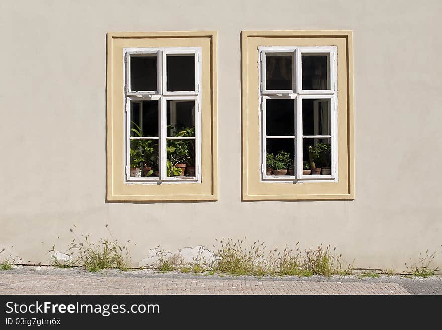 Two cottage windows