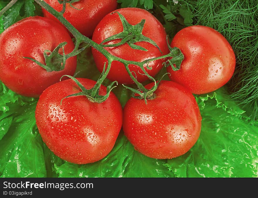 Ripe red tomatoes on salad leaves