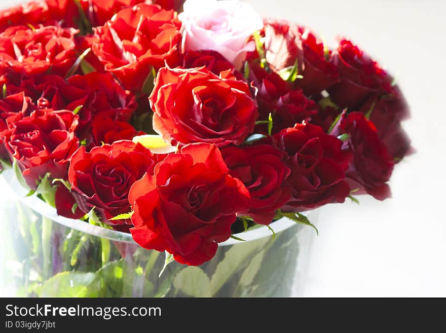 Red roses