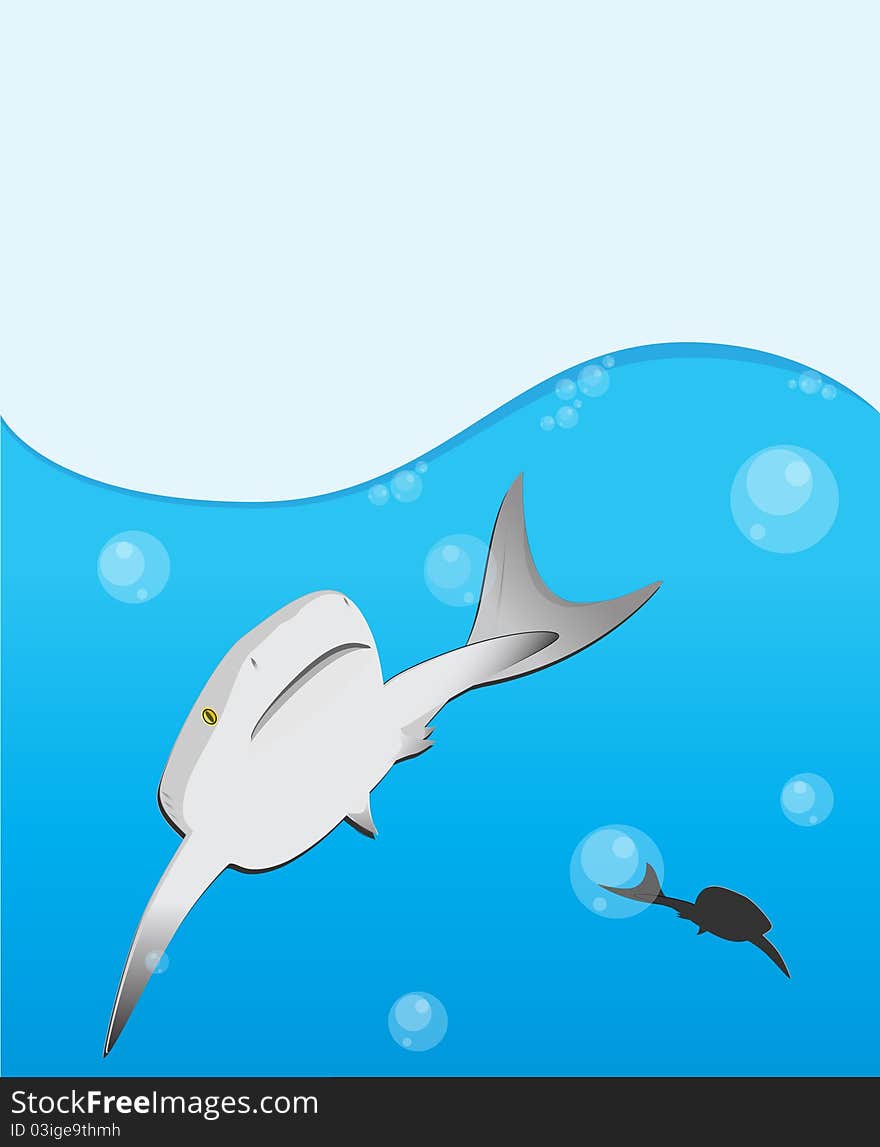 Hunting shark under water blue background