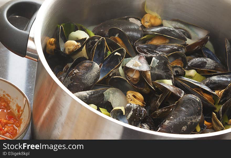 Mussels