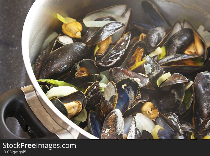 Mussels