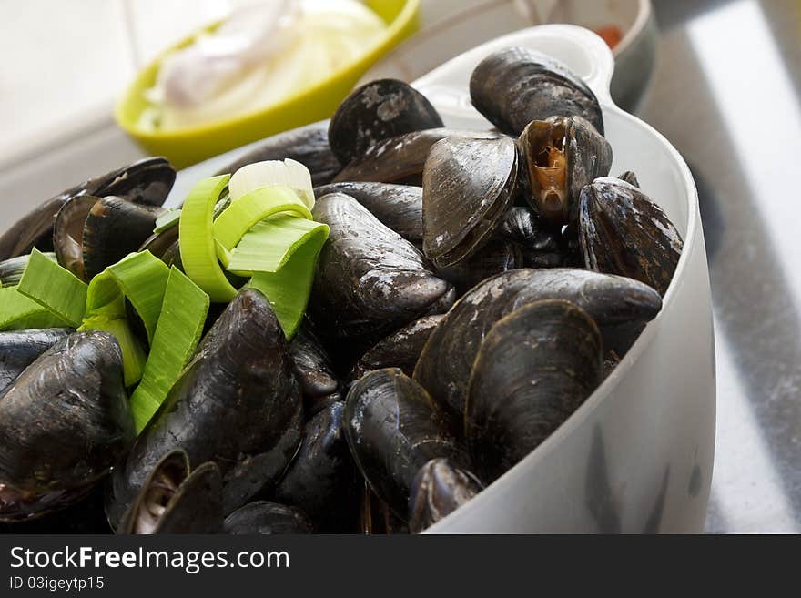 Mussels