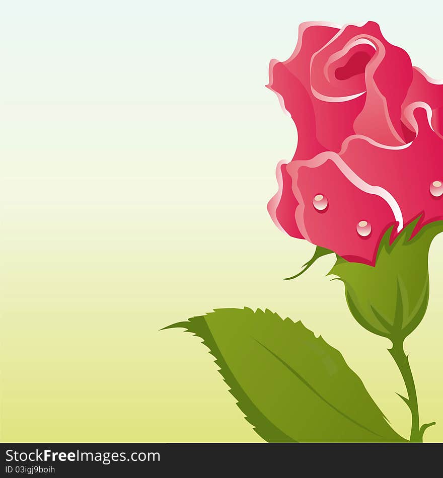 Beautiful background with red rose. Beautiful background with red rose