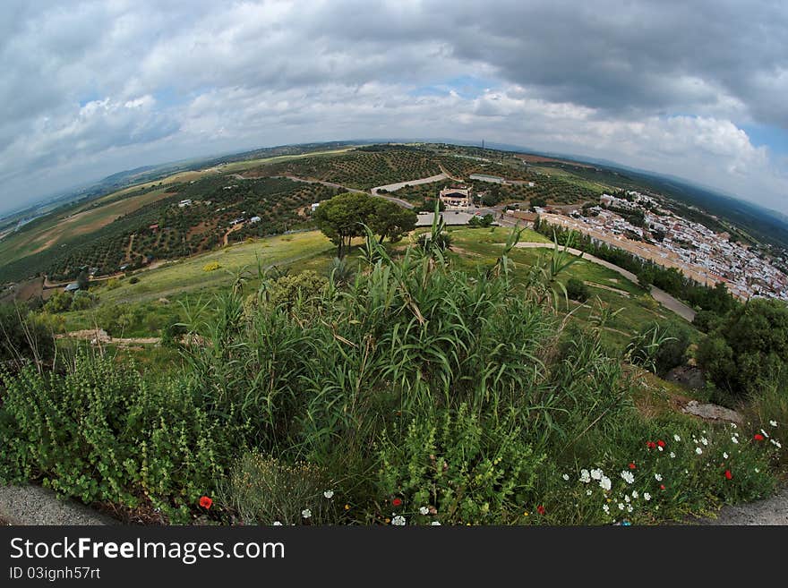 Rural Andalusian Landscape Seen By Fisheye