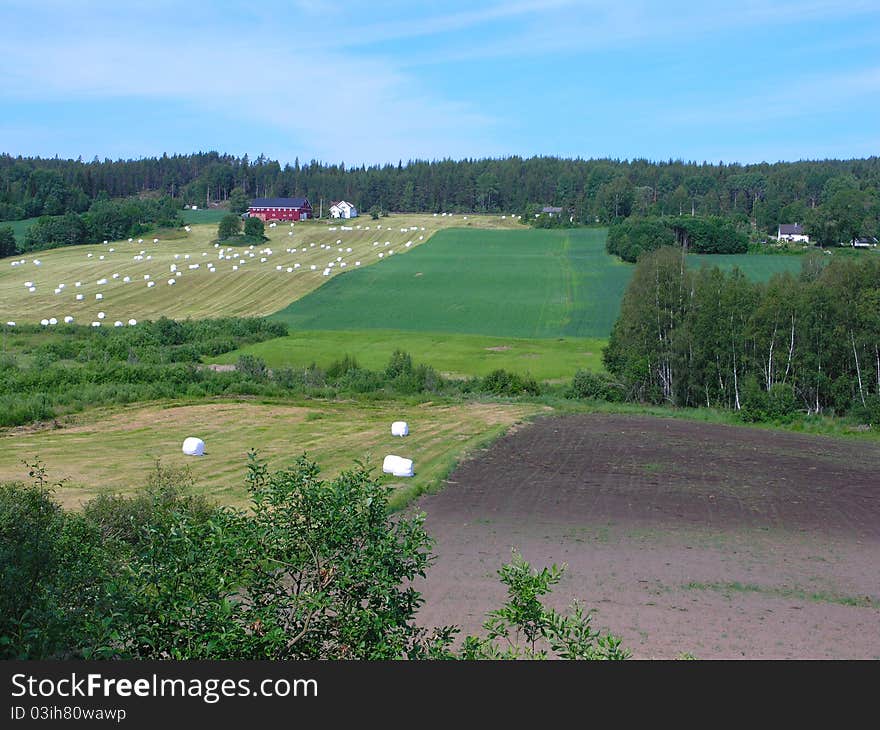 Beautiful Norway Nature