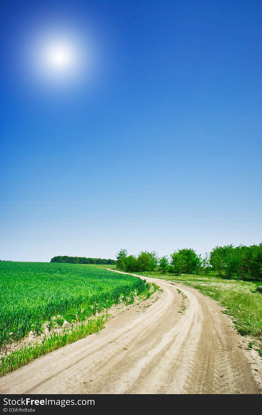 Rural road and summer field with green wheat. Rural road and summer field with green wheat.