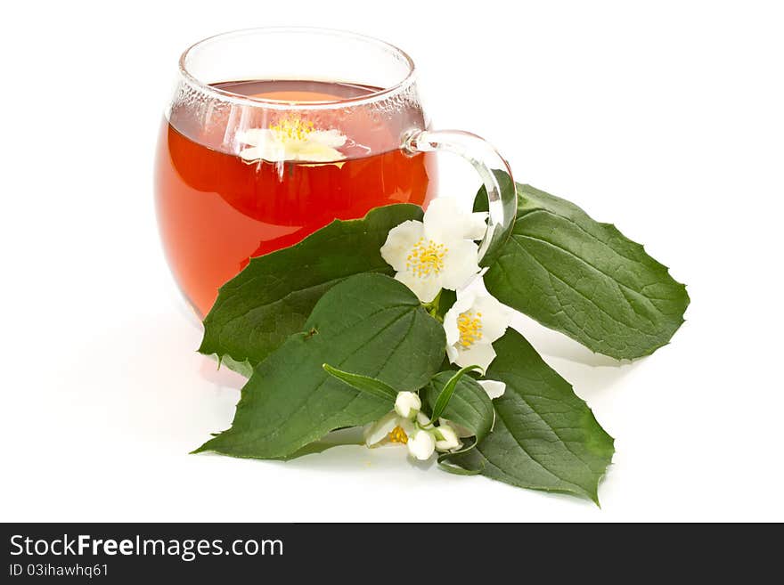 Jasmine tea and jasmine flowers on a white background