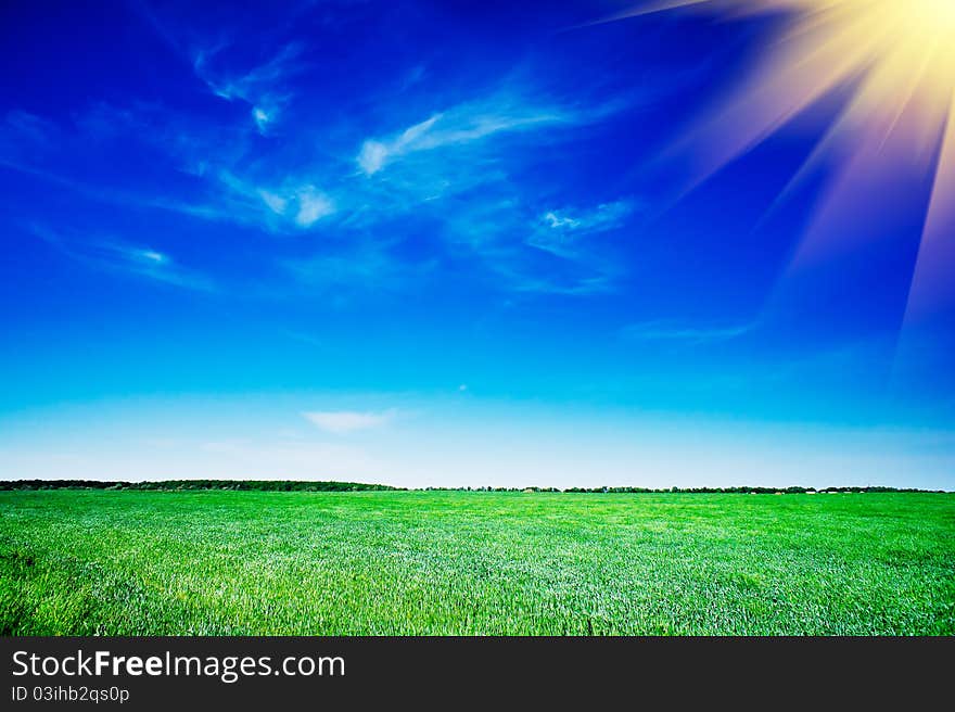 Splendid green field and the blue sky with clouds.