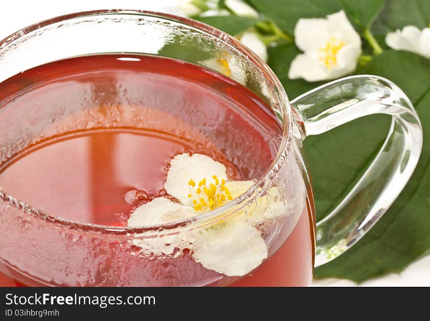 Jasmine tea and jasmine flowers on a white background