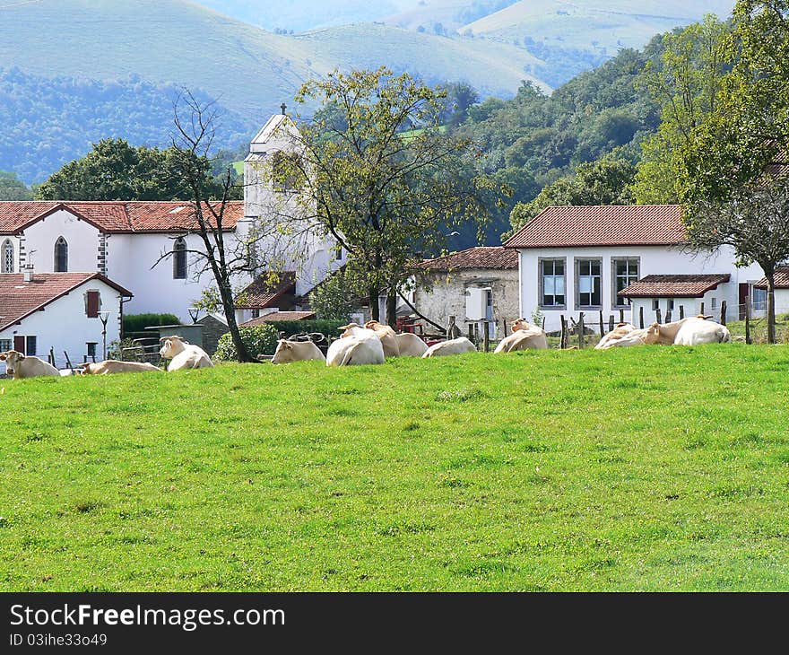 A village in the Basque Country, France