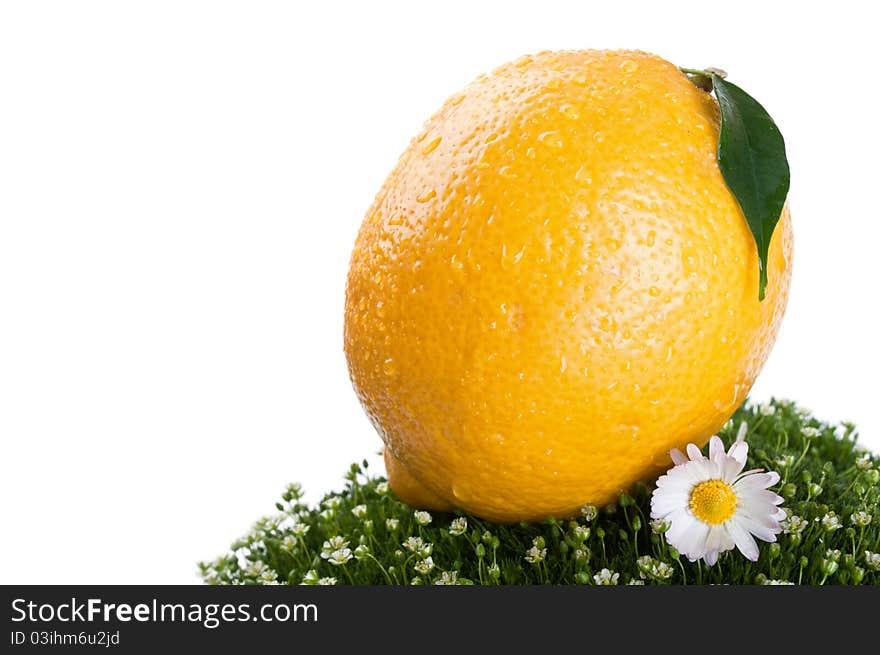 Fresh lemon on a green grass isolated on a white background