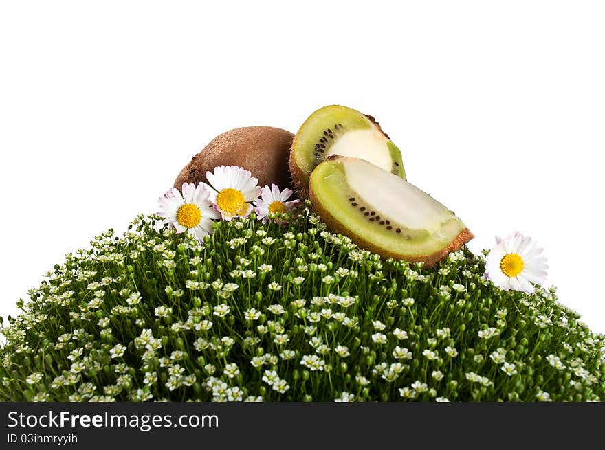 Kiwi on a green grass isolated on a white background