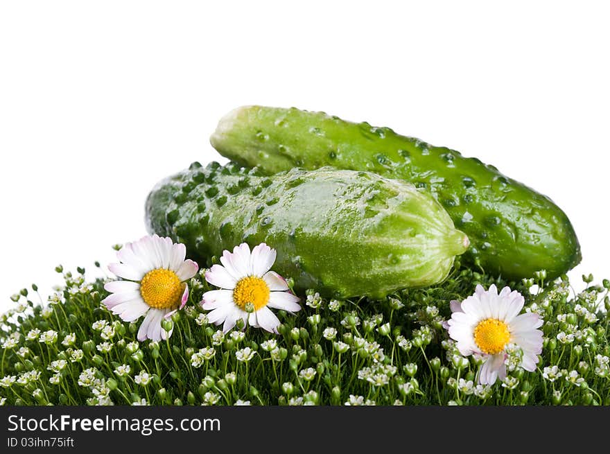 Fresh cucumber on a green grass isolated on a white background