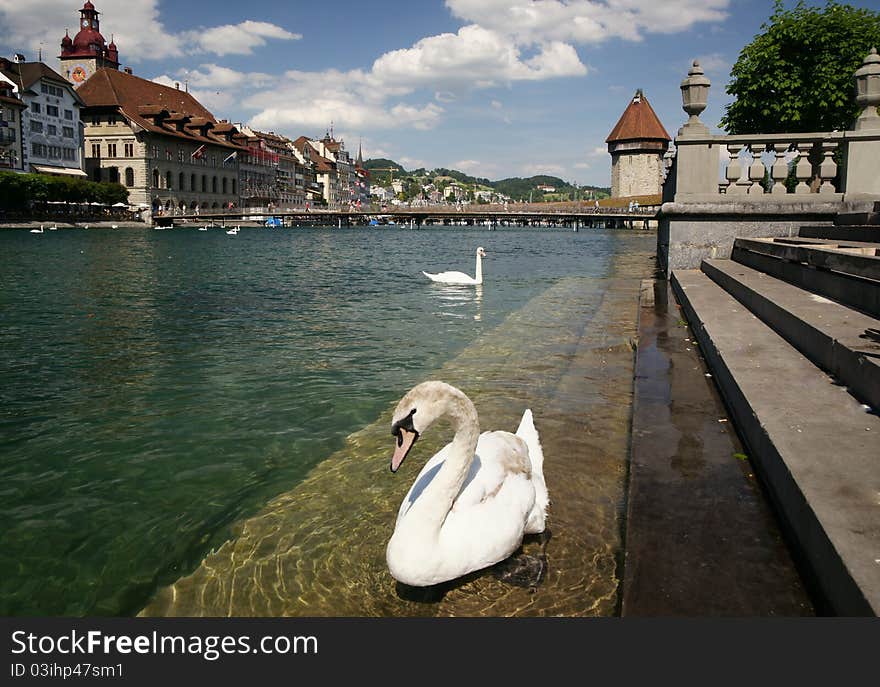 Lucerne