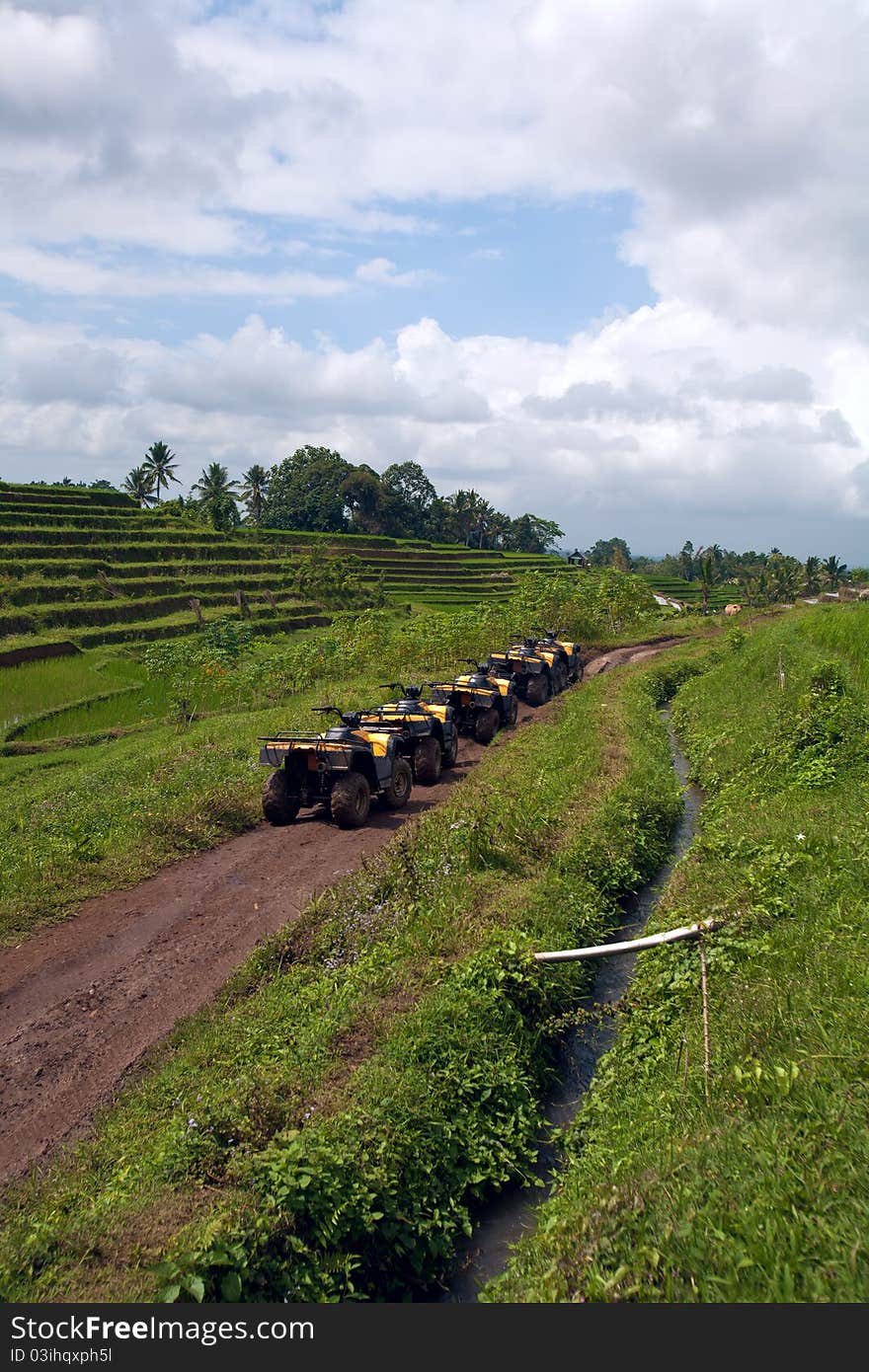 Quadrocycles Before Jungles Safari