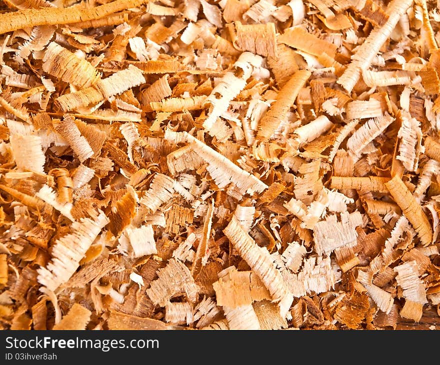 Background of the golden curls of wood shavings