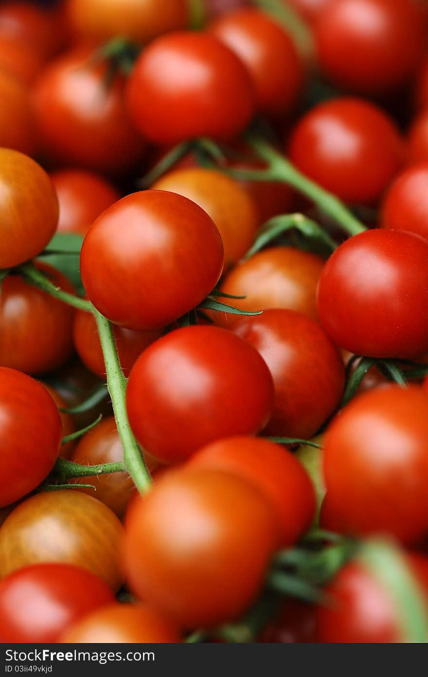 Juicy red tomatoes