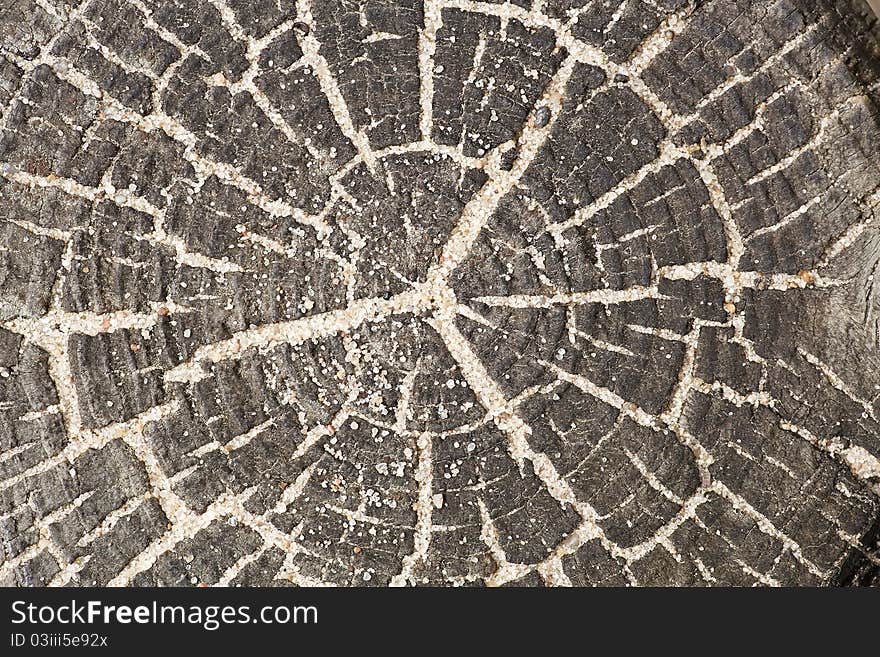 Natural wooden background. Old wood. Natural wooden background. Old wood.