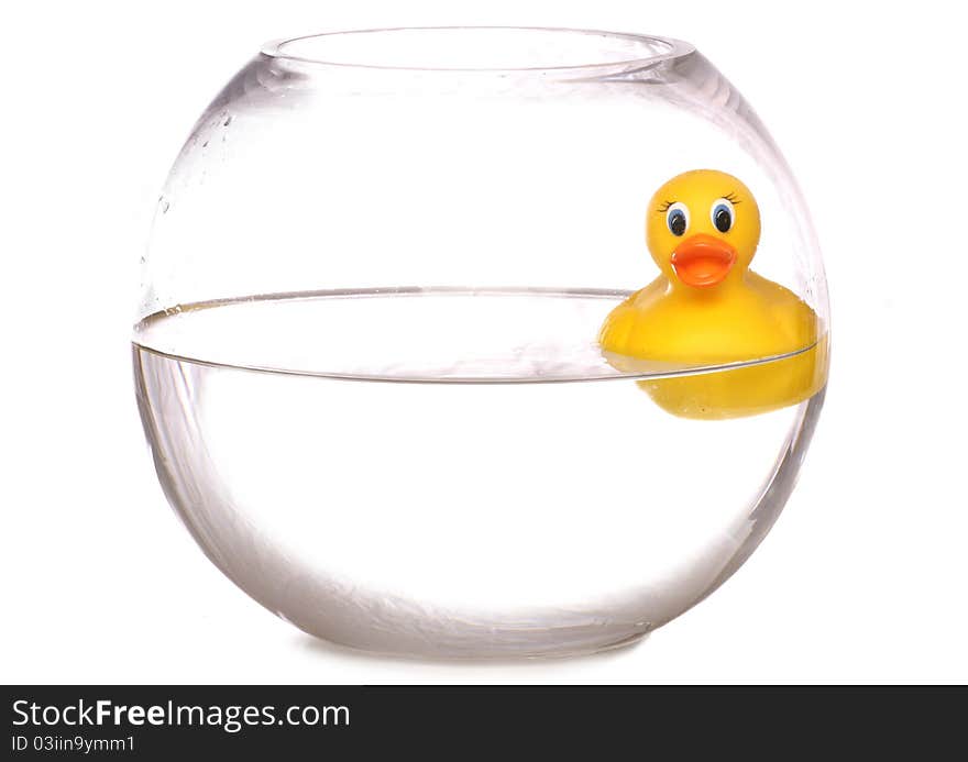 Yellow rubber duck in a fish bowl