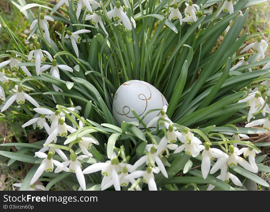 Feature photo easter with white easter egg