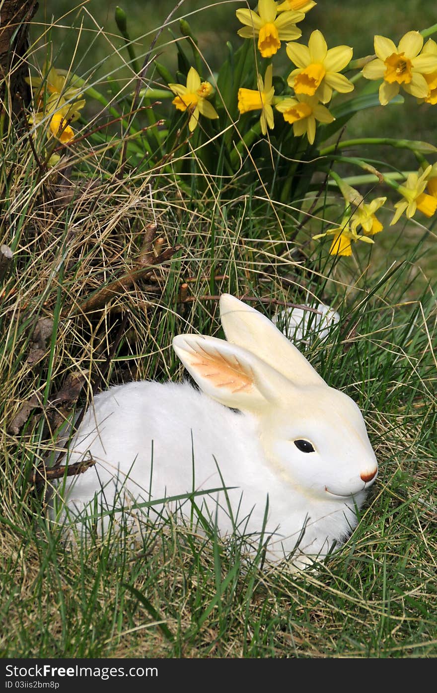 Feature photo easter with white bunny