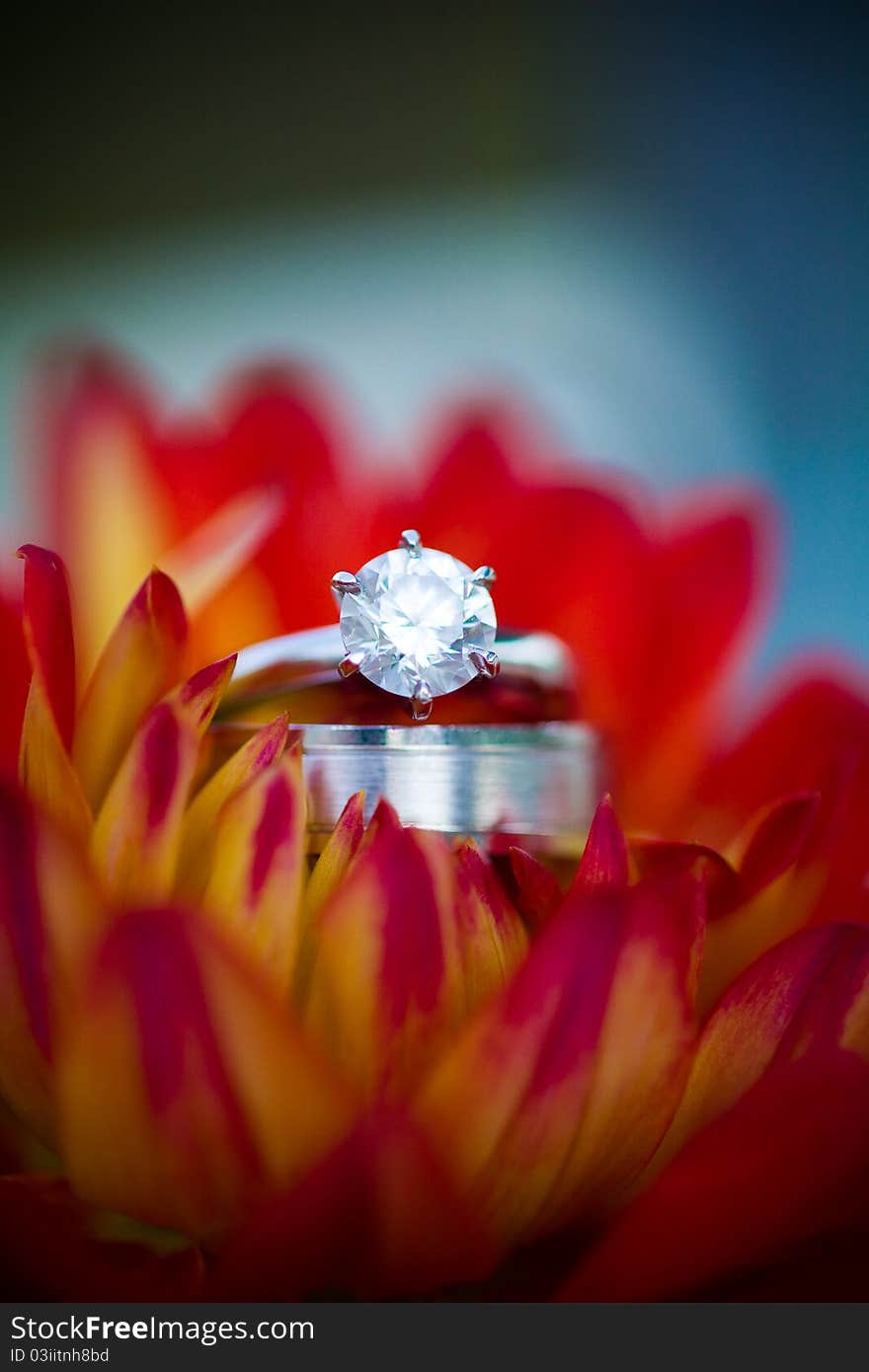 Wedding rings resting in a flower